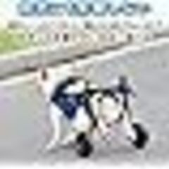 犬用車椅子　（XS）の画像