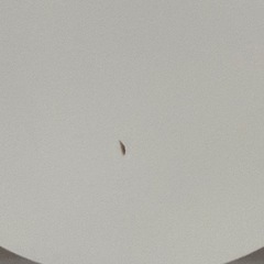 ポケモンガチャマシンの画像