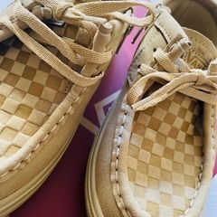 VANS CARVER LO 
20センチの画像
