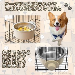 ペット用ボウル2個セットの画像