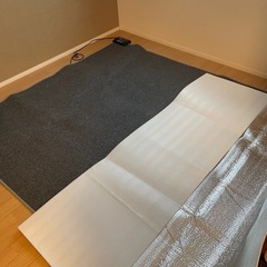 ホットカーペットの画像