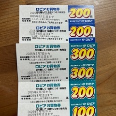 ロピア保冷バッグ　1300円分割引券付きの画像