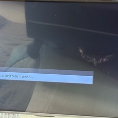 ☆43型テレビあげます。ジャンク品☆の画像