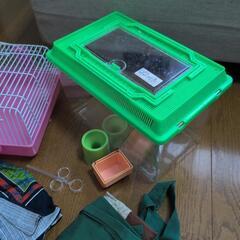 小鳥用品　一式　無料の画像
