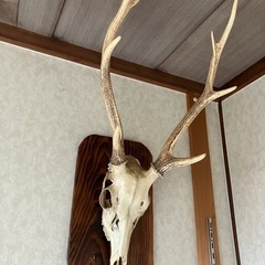 シカの装飾品２つの画像