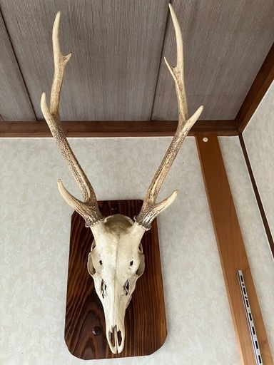 シカの装飾品２つ