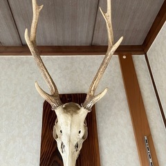 シカの装飾品２つの画像