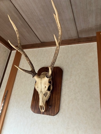 シカの装飾品２つ