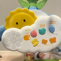 プーメリーの画像