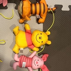 プーメリーの画像