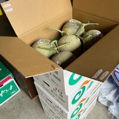 北海道らいでんメロン秀品2玉箱入り☆の画像