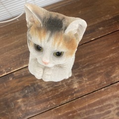 動物猫置物の画像