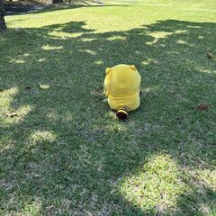 サークルメンバー募集（GH会）男性も募集再開