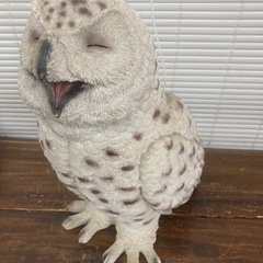 ヒラリアス オウル ふくろう 置物 コベントガーデン オブジェ 白 の画像