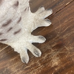 ヒラリアス オウル ふくろう 置物 コベントガーデン オブジェ 白 の画像