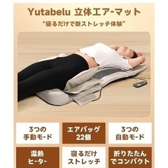 立体エアーマットエアーストレッチマット　エアーバック搭載ヒーター付きの画像