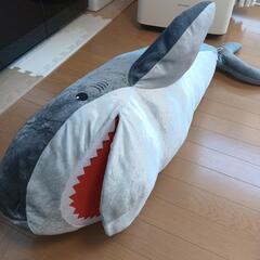 【決まりました】大きなサメのぬいぐるみの画像