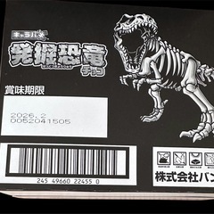 発掘恐竜チョコ　14個入りの画像