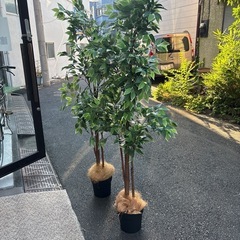 フェイクグリーン1の画像