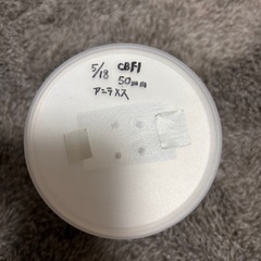インドアンタエウスペアの画像