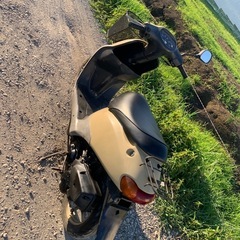 ホンダ dioの画像