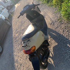 ホンダ dioの画像
