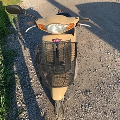 ホンダ dioの画像