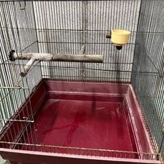 鳥かご バードケージ 幅48cm×奥行48cm×高さ56cmの画像
