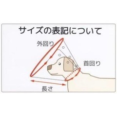 エリザベスカラー アニマルネッカー クリア4Lの画像