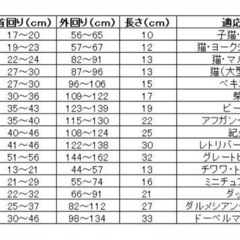 エリザベスカラー アニマルネッカー クリア4Lの画像
