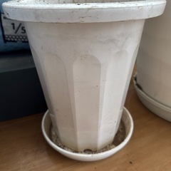　鉢底石　鉢の画像