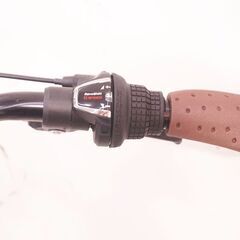 WEST COAST CITY SURFER 2022年モデル シティサイクルの画像