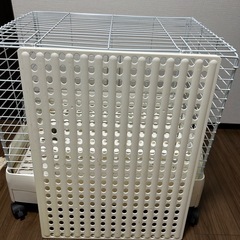うさぎ小屋
の画像
