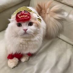 1回18,900円～！週2日～！Wワーク相談可能！夜勤専従の画像