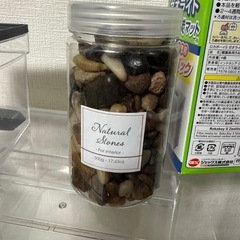 金魚 めだか 飼育セット まとめ売りの画像