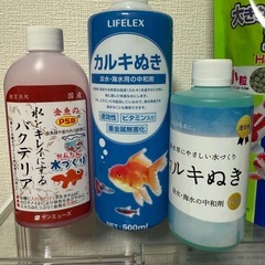 金魚 めだか 飼育セット まとめ売りの画像