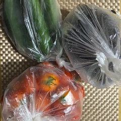 【本日の新鮮野菜・トマト・ナス・きゅうり3セット】★¥500★の画像