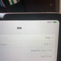 iPad Pro11インチの画像