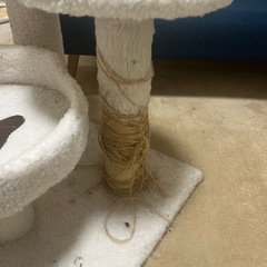 キャットタワー/連絡は本日までの画像