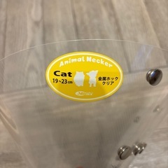 猫　エリザベスカラーの画像