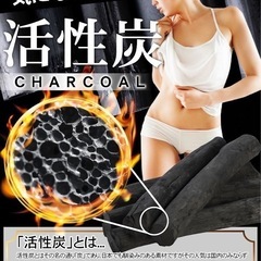 激安❗️健康ダイエット サプリメント 6ヶ月分【コンブチャ/菌活】 【活性炭/吸着】の画像