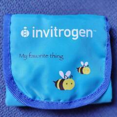 Invitrogen ノベルティグッズ トートバッグ　折りたたみバッグ 未使用の画像