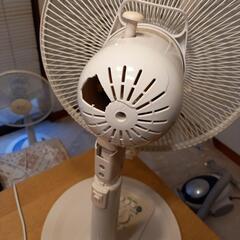 扇風機の画像