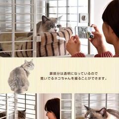  キャットゲージ 3段 猫の画像