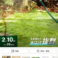 人工芝ペグ有りの画像