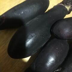 【完売】なす🍆差し上げます。無料の画像