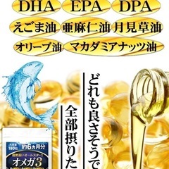激安❗️オメガ3 DHA EPA DPA えごま油 亜麻仁油 サプリメント　6ヶ月分の画像