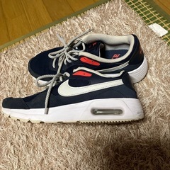 ナイキNIKEエア−25.0センチの画像