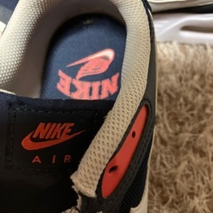 ナイキNIKEエア−25.0センチの画像