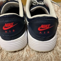 ナイキNIKEエア−25.0センチの画像